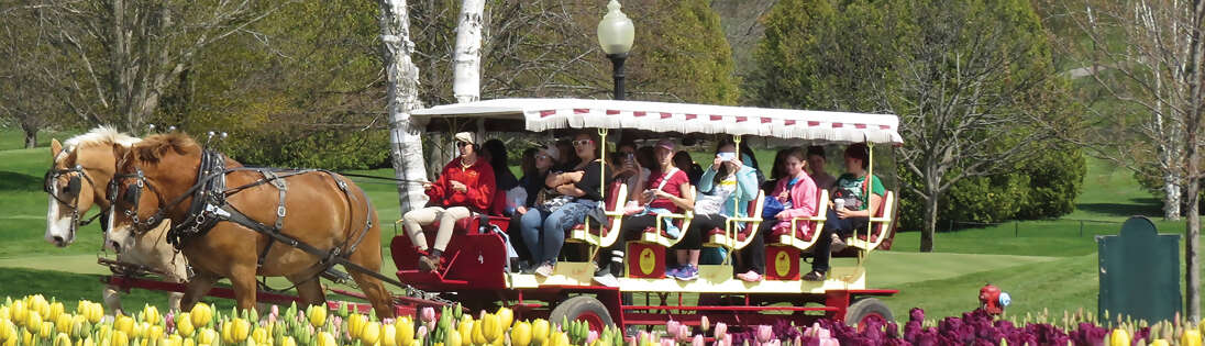 Horse‑Drawn Carriage Tour and Grand Hotel Elegance