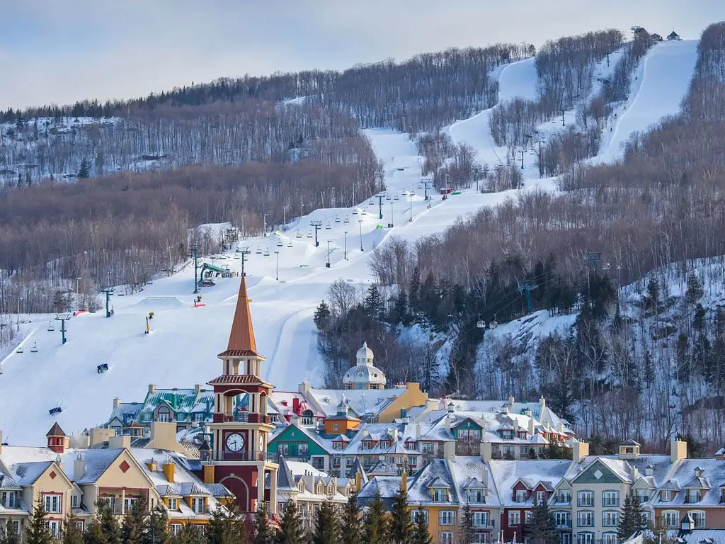 ❄️ Not Everybody Wants to Escape the Cold This Winter…