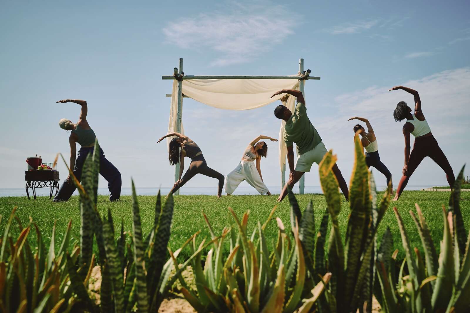 Travel Smarter in 2026: Save Big & Enjoy VIP Benefits