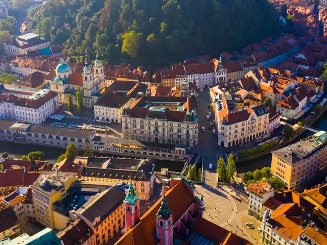 Travel Advisors Assess Summer Booking Trends