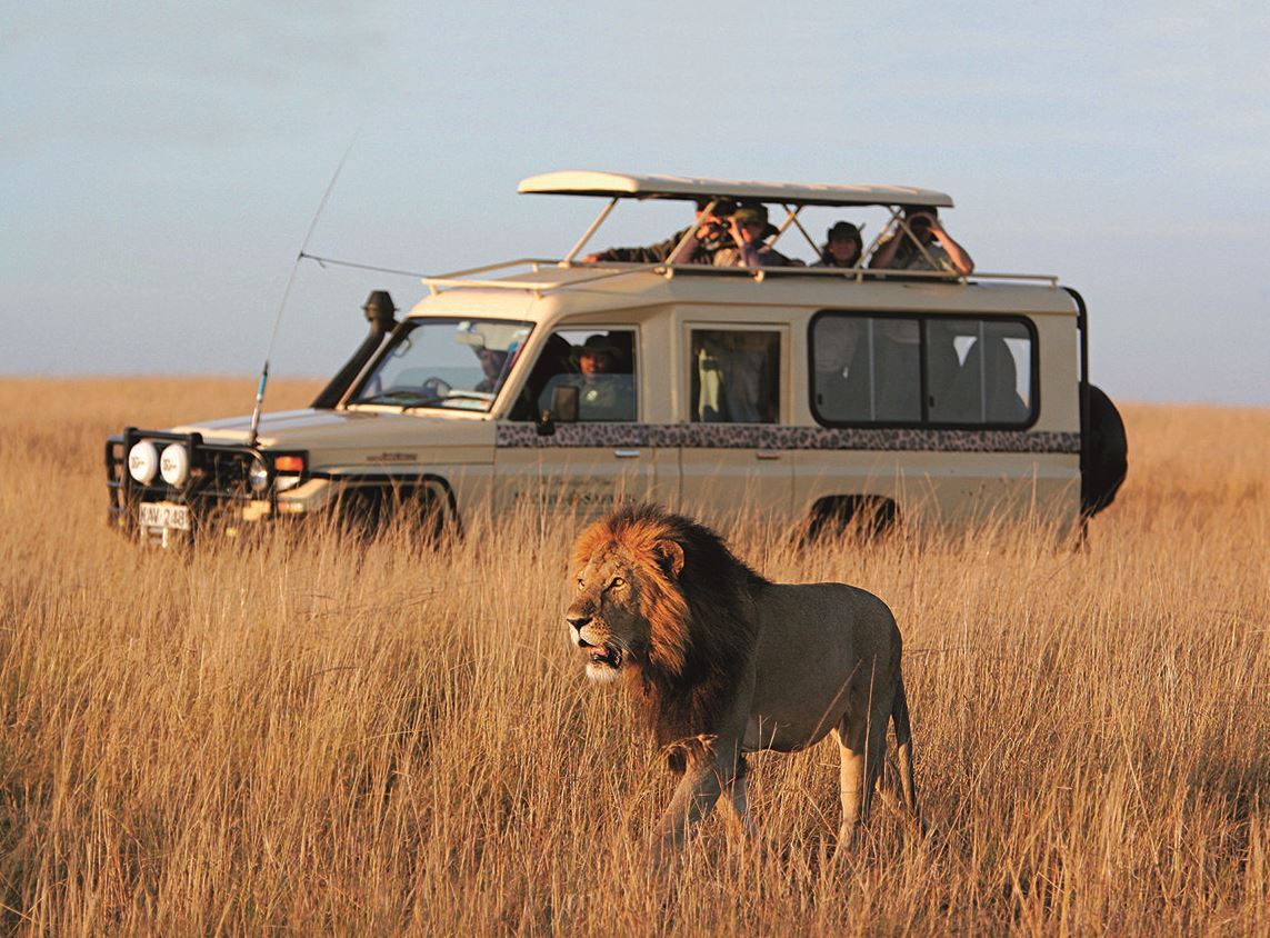 Micato Safaris: Receive a $150 per Person Safari Shop Credit