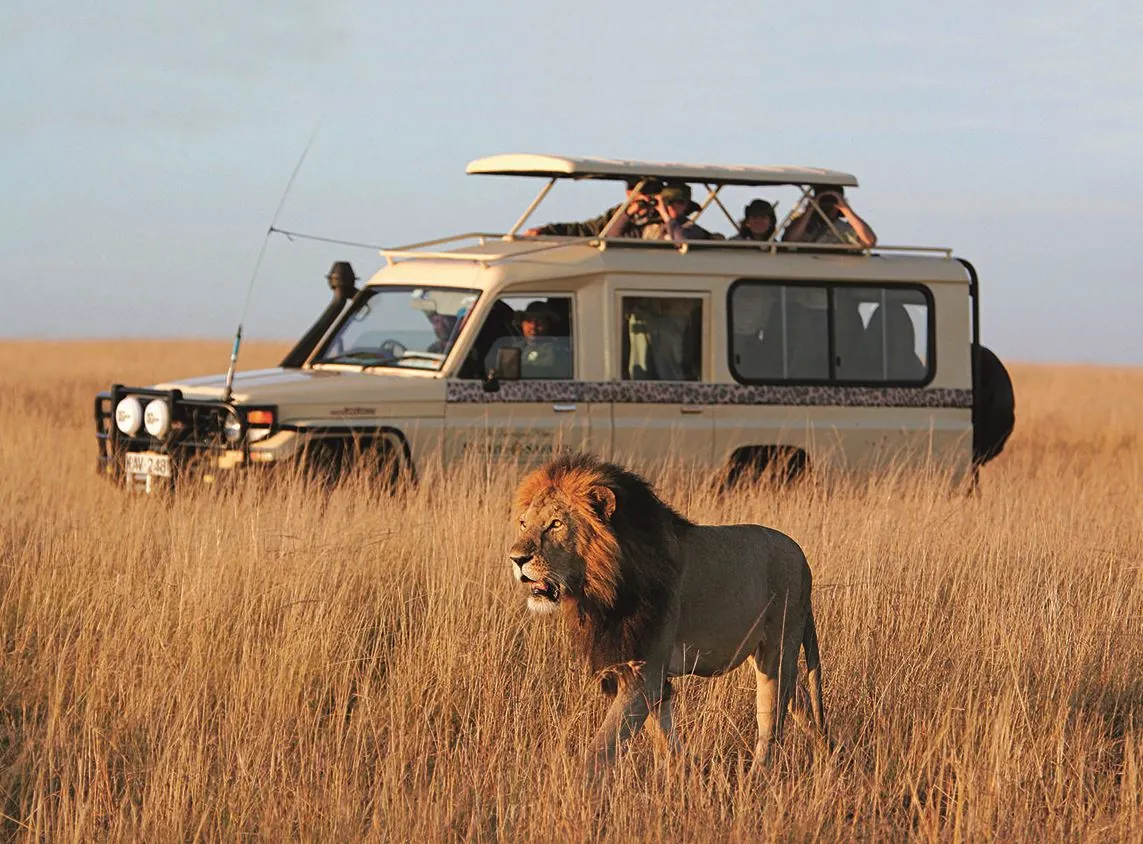 Micato Safaris: Receive a $150 per Person Safari Shop Credit
