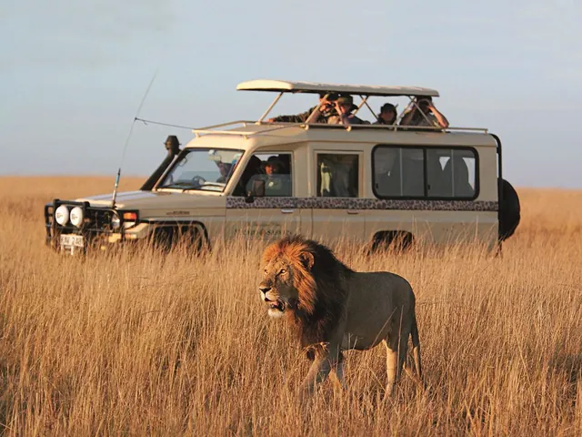 Micato Safaris: Receive a $150 per Person Safari Shop Credit