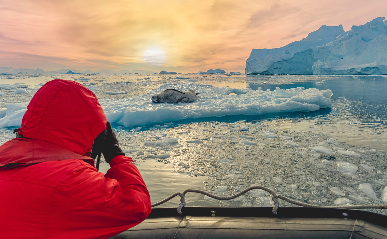 Expedition Cruises