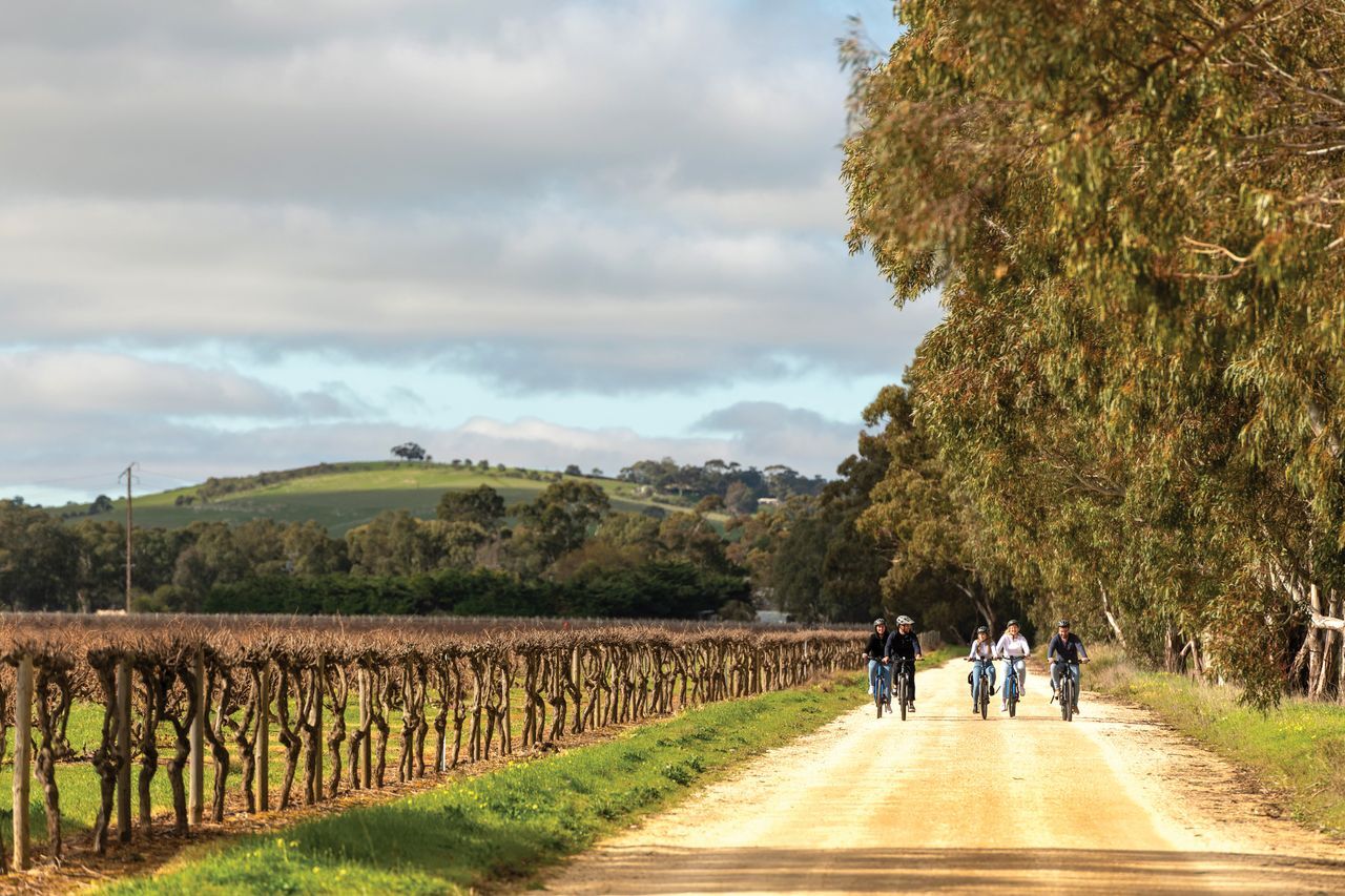 Barossa Wine Wander