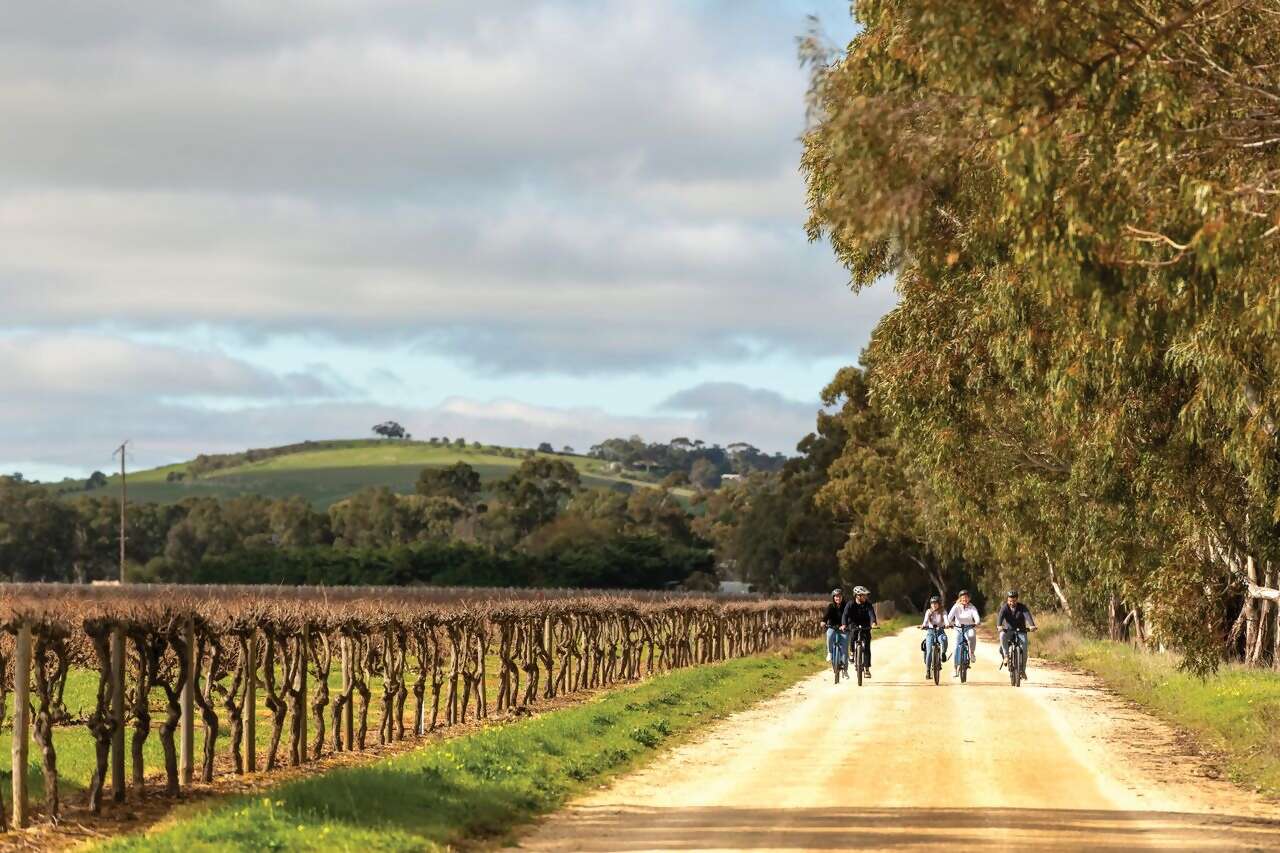 Barossa Wine Wander