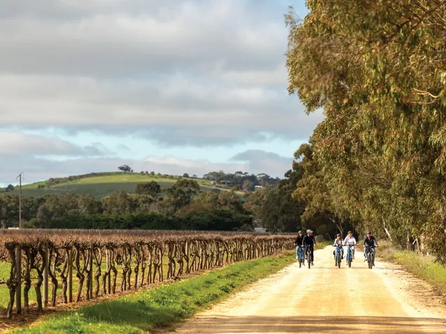 Barossa Wine Wander