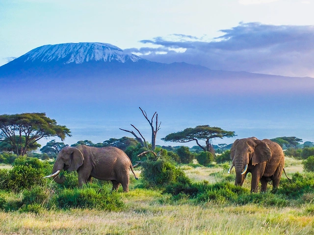 Kenya