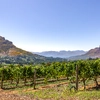 Why Travelers are Following the Trail of South Africa’s Oldest Vineyards