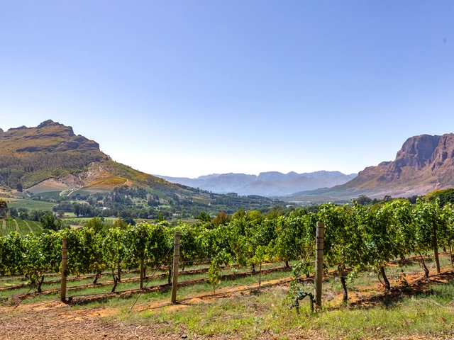Why Travelers are Following the Trail of South Africa’s Oldest Vineyards