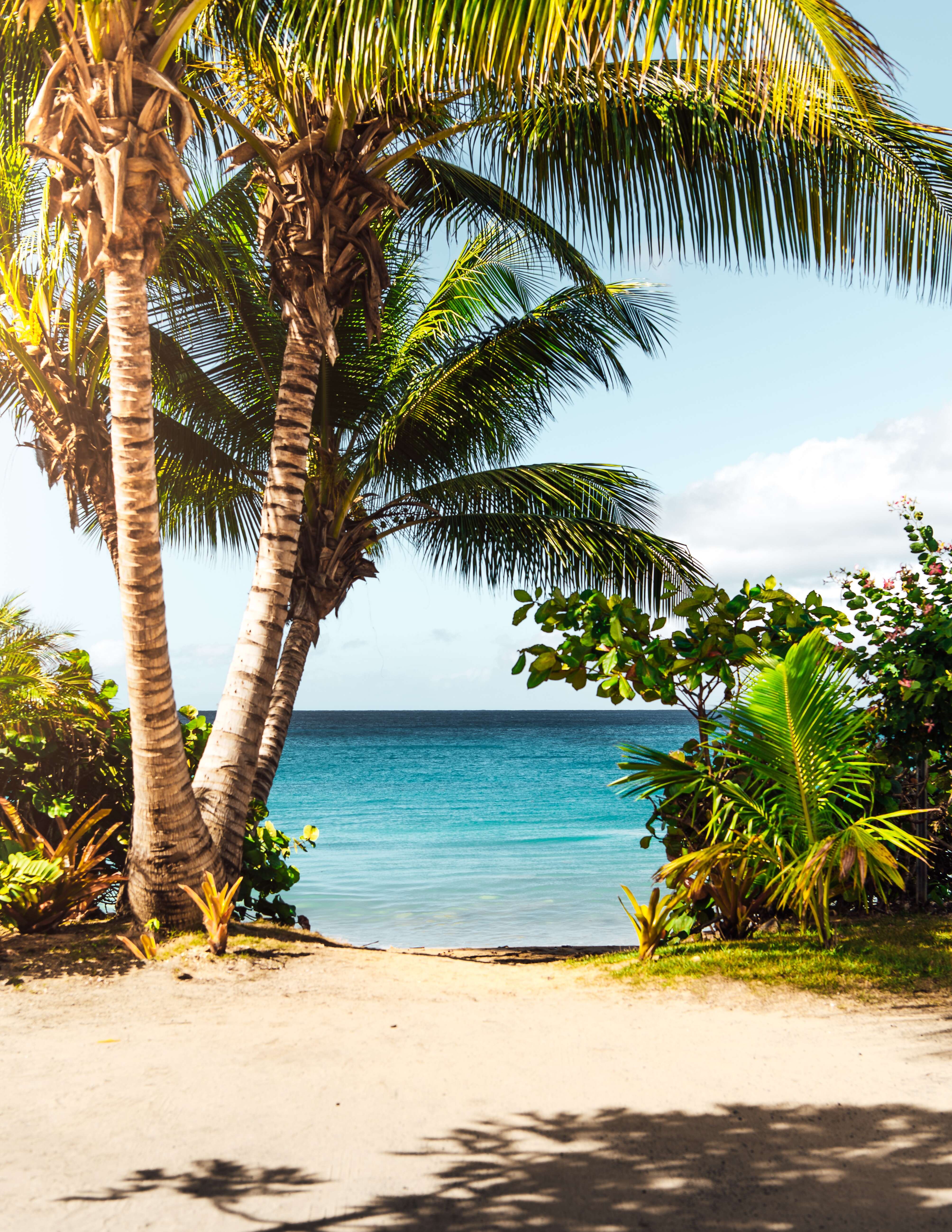 7 Day Travel Itinerary for Ocho Rios St Ann, Jamaica