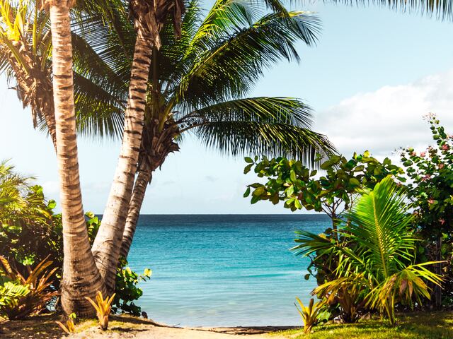 7 Day Travel Itinerary for Ocho Rios St Ann, Jamaica