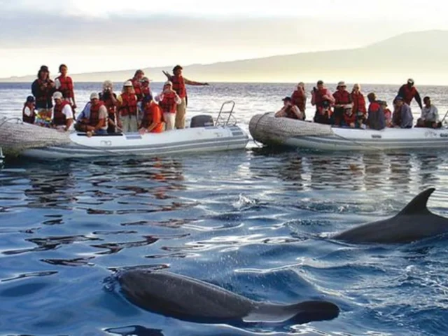 The Galápagos