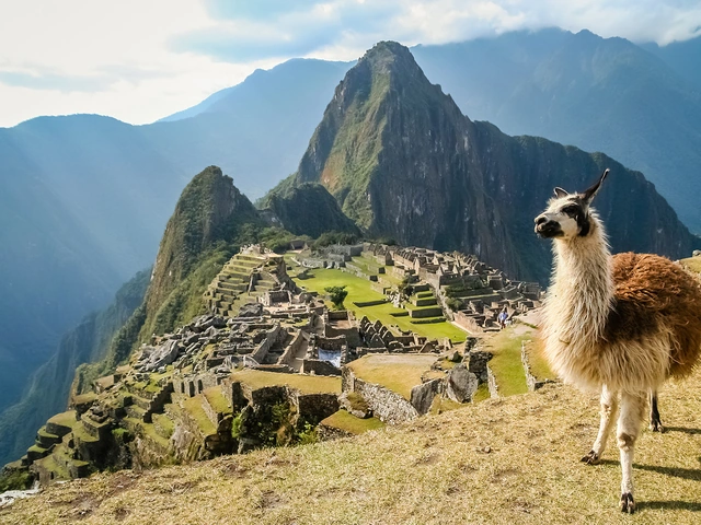 Escorted Tours