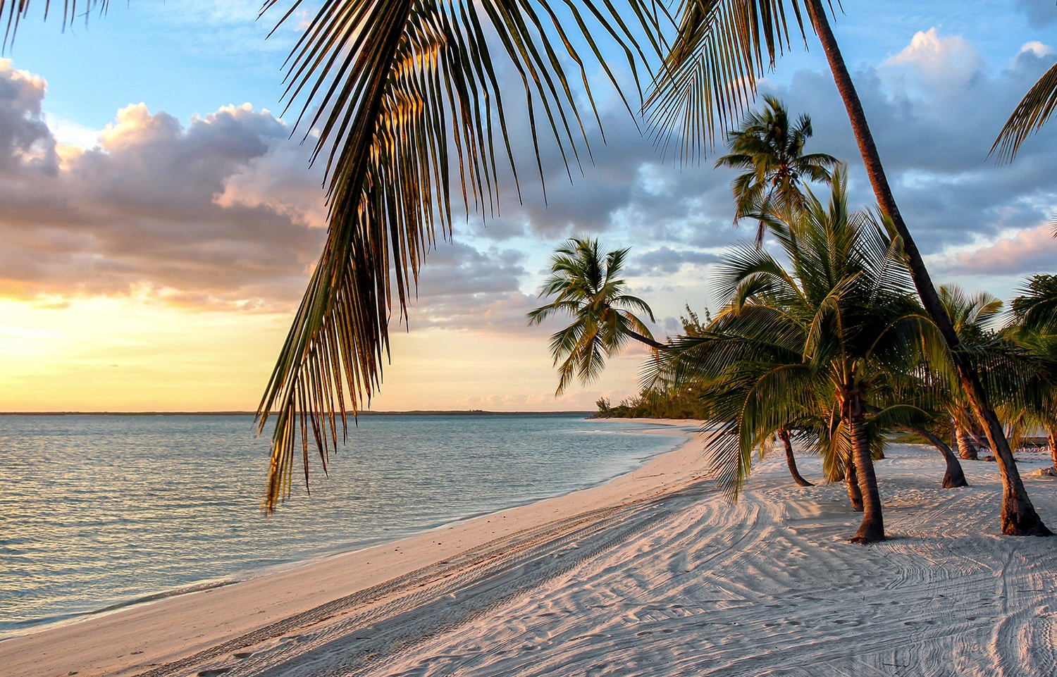 tropical Beach