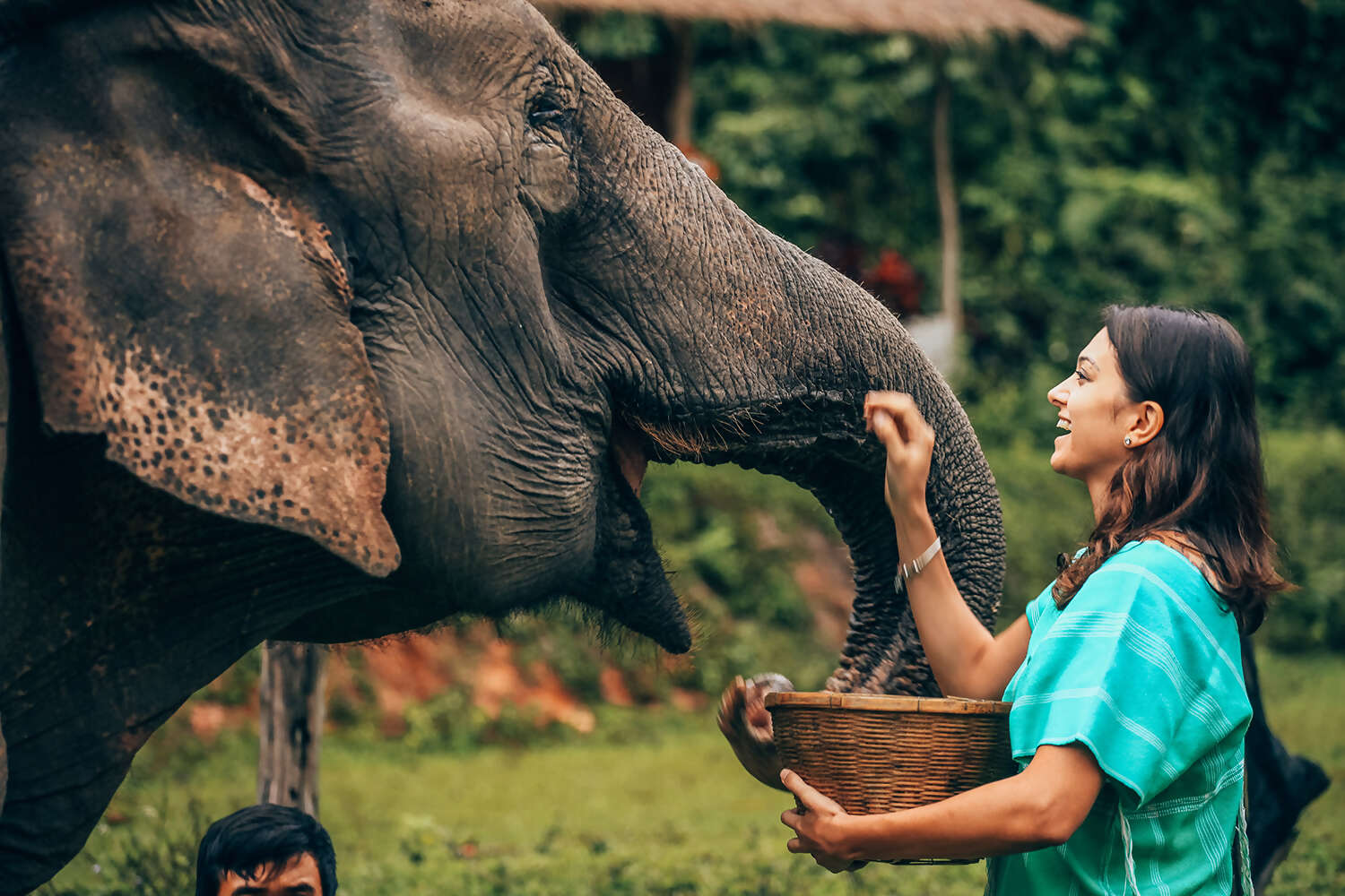 Day07-Elephant.jpg