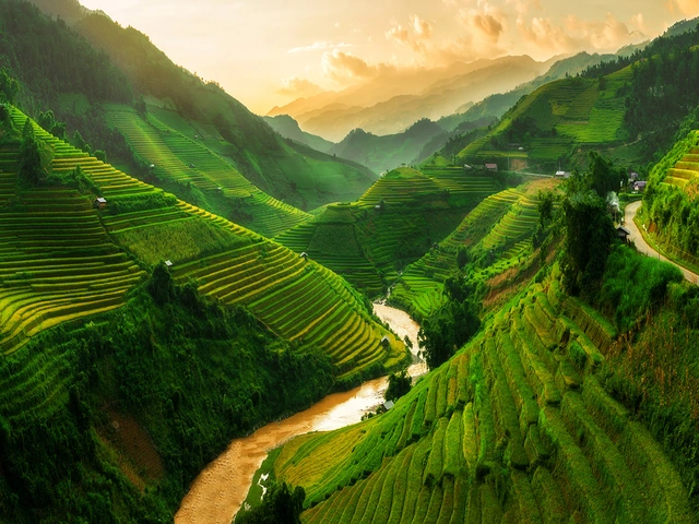 Vietnam