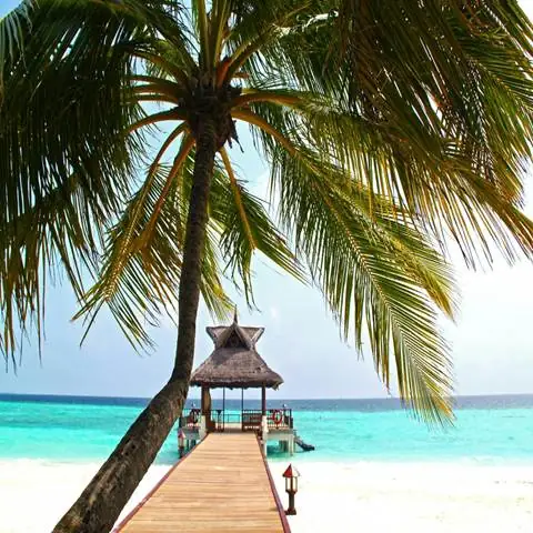 A dock with a hut and palm trees on a beach