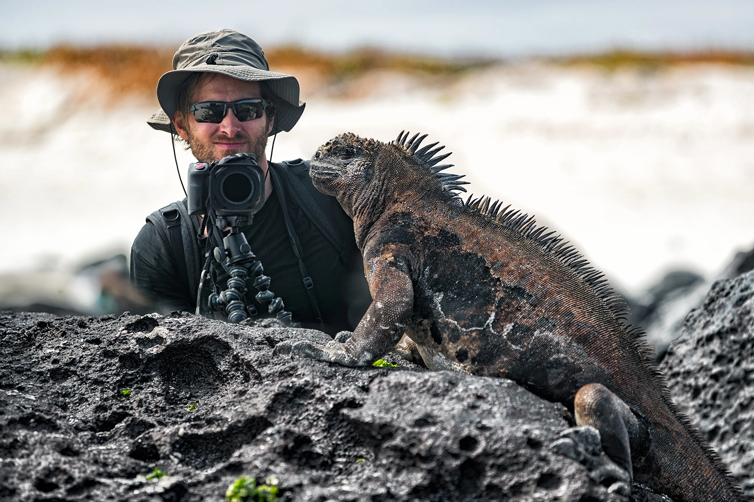 Galapagos