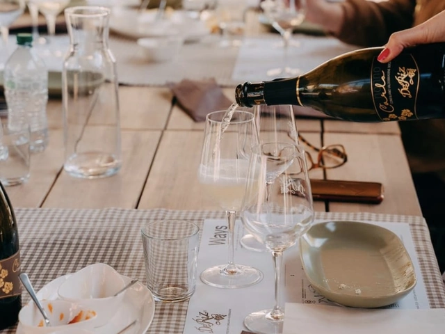 Private Day Tour from Venice: Hilltowns, Palladio & Prosecco