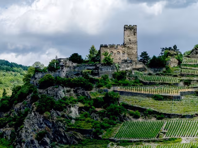 Castles, Vineyards & Storybook Towns: A Captivating Rhine River Cruise
