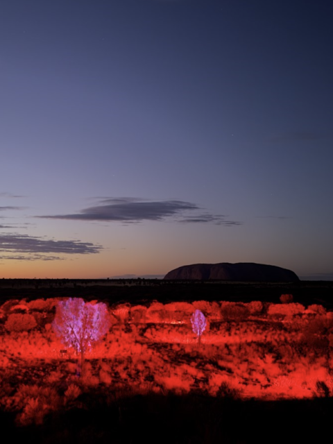 New Experiences in Australia that Connect You to Indigenous Culture