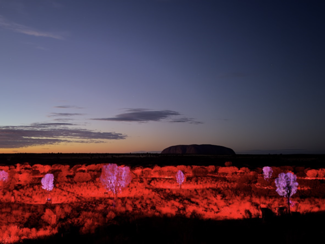 New Experiences in Australia that Connect You to Indigenous Culture