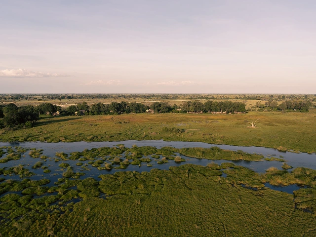 Duba Plains Camp