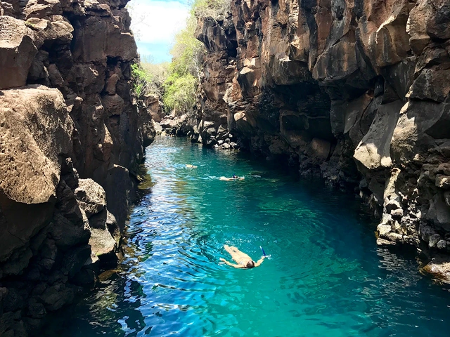 Wellness and Nature in the Galapagos
