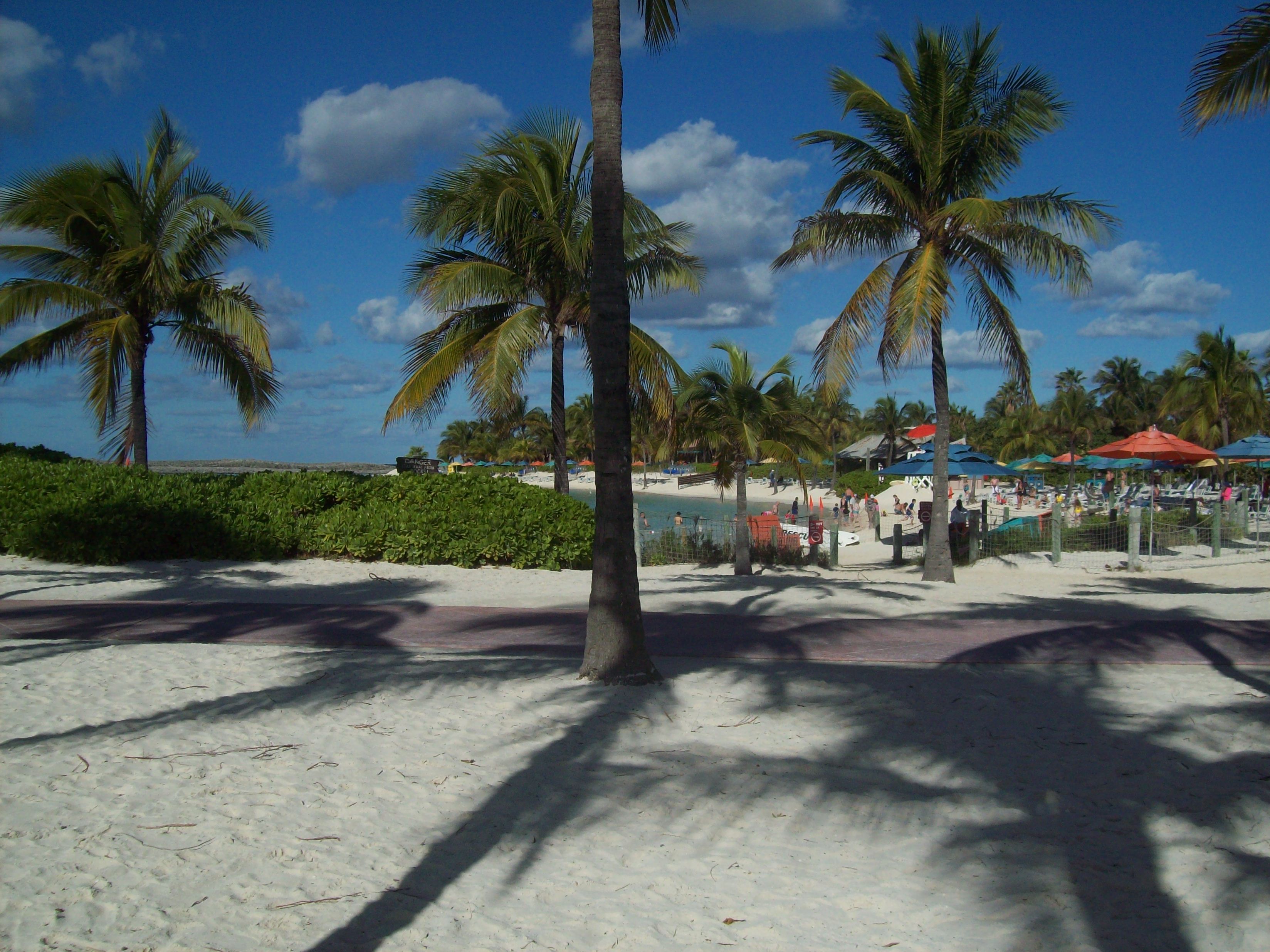 Cruise Photo 2
