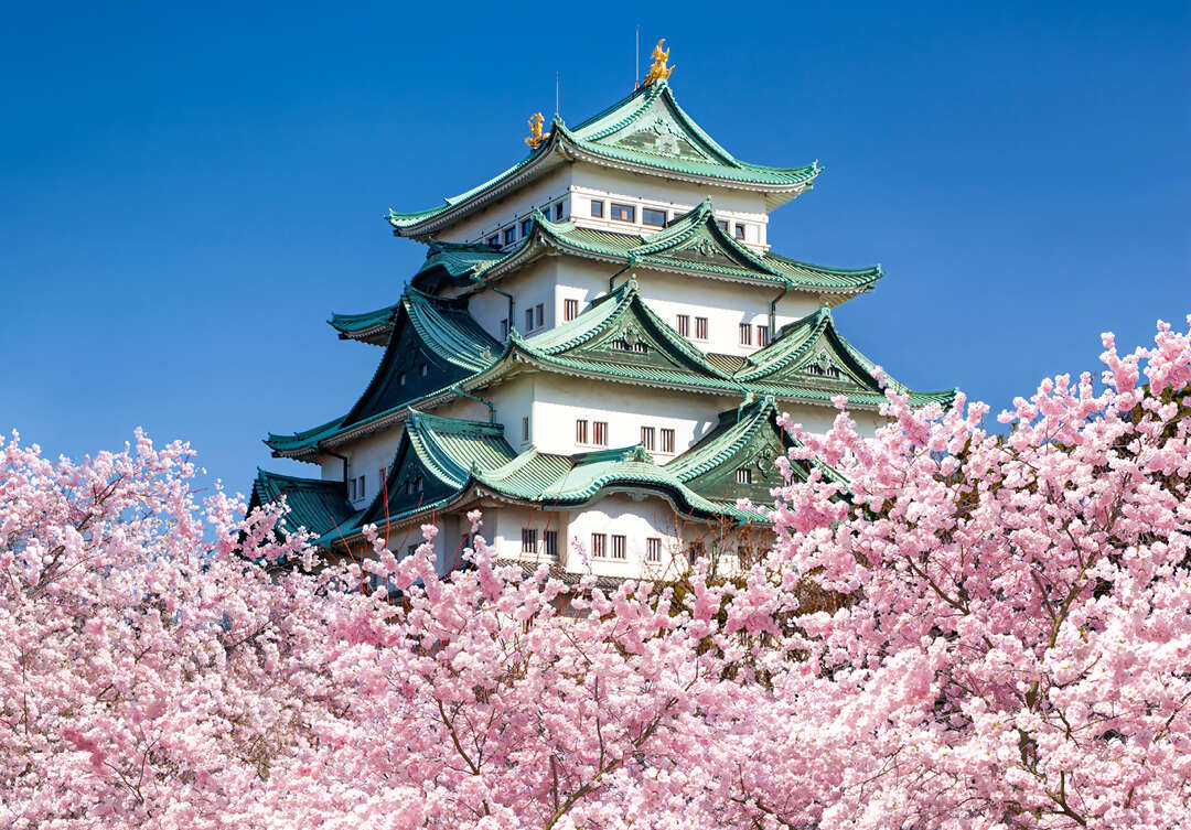 Tokyo - Nagoya - Kyoto