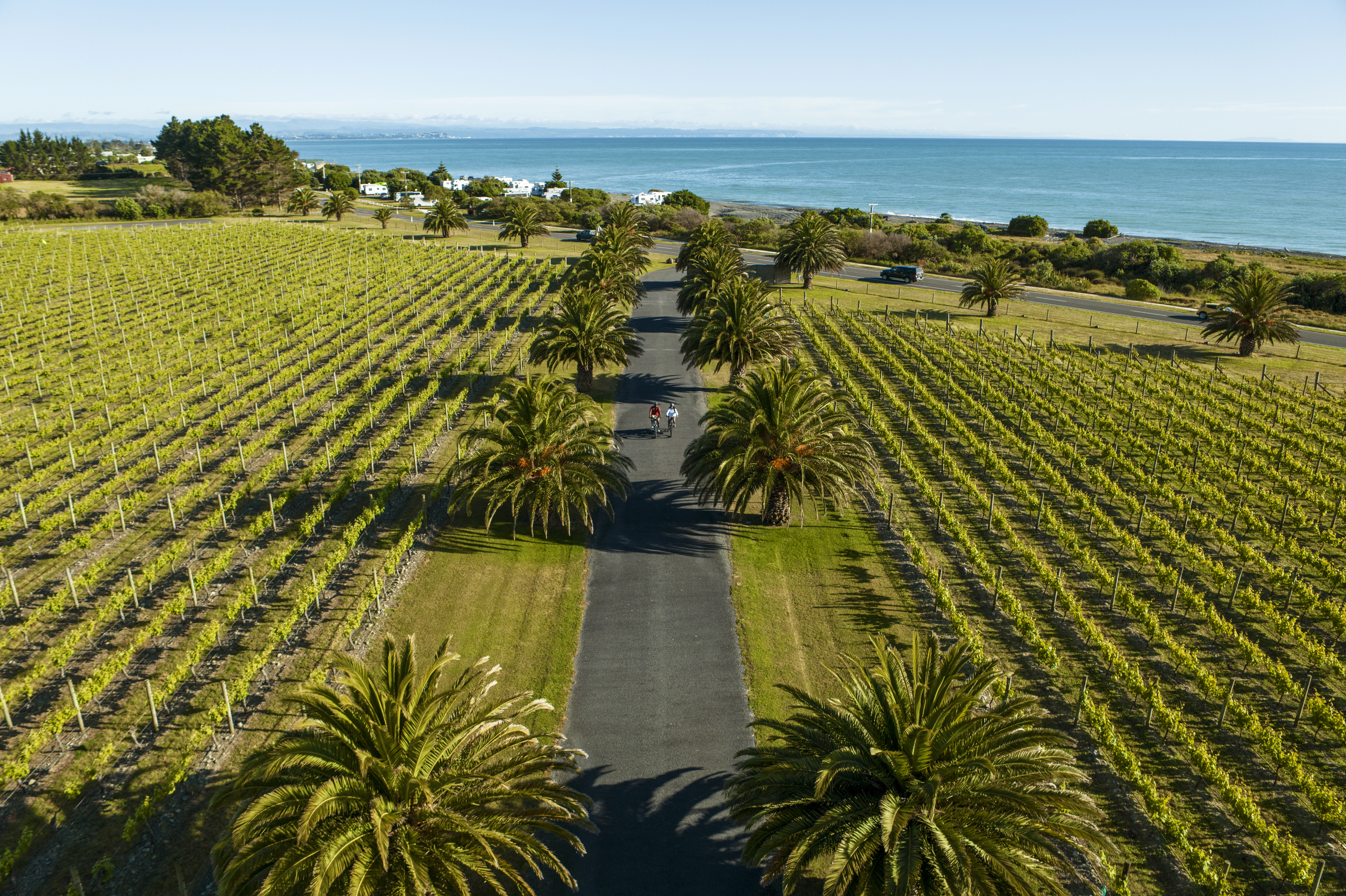 Auckland Wine and Nature