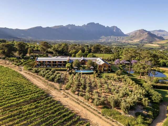 Safari & Cellars: The Best of South Africa