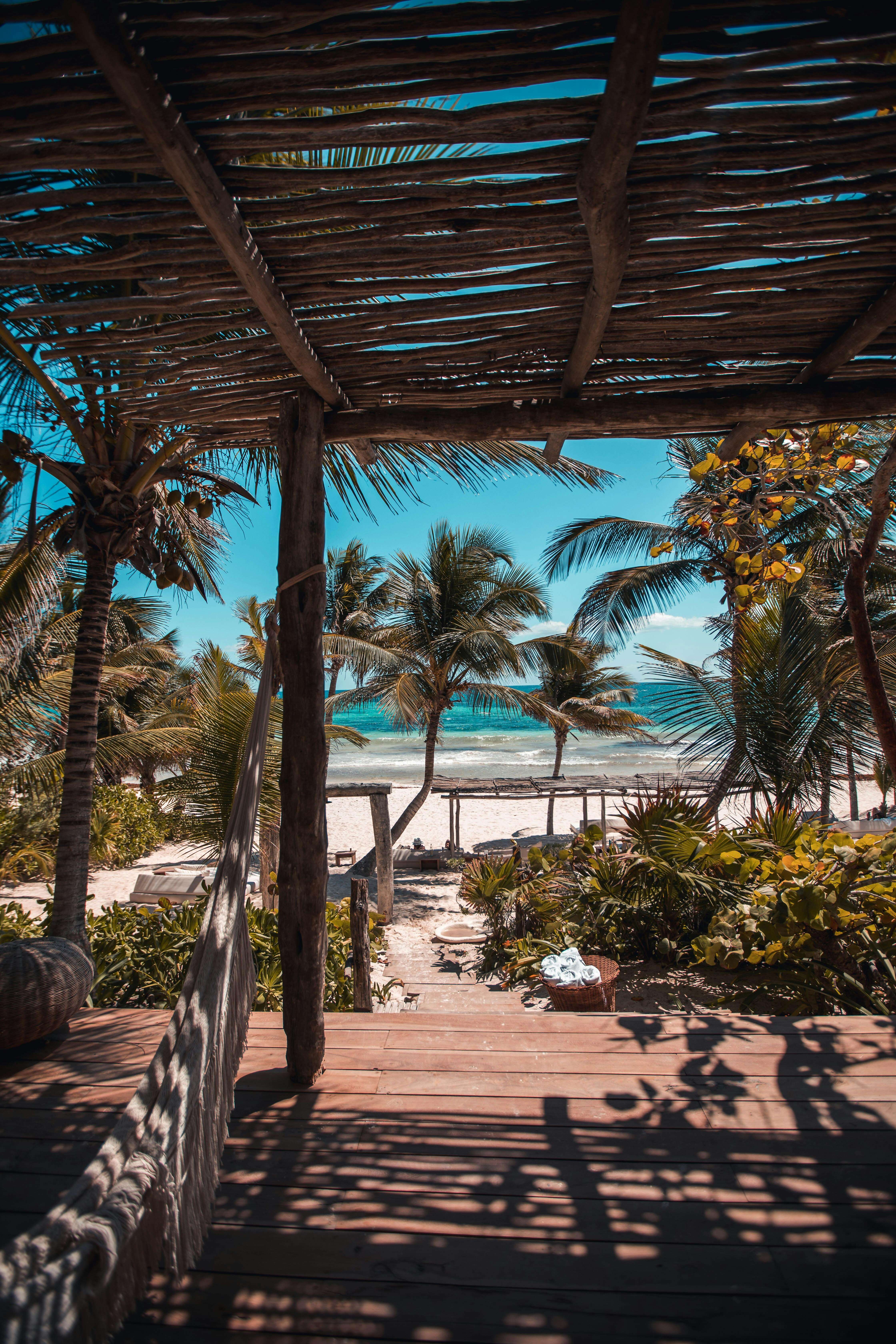 Essential Spanish Phrases for Your Mexico Trip: A Guide by Swan Family Travel
