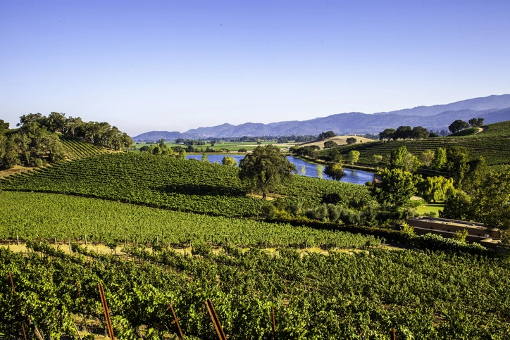 Arrival and Introduction to Napa