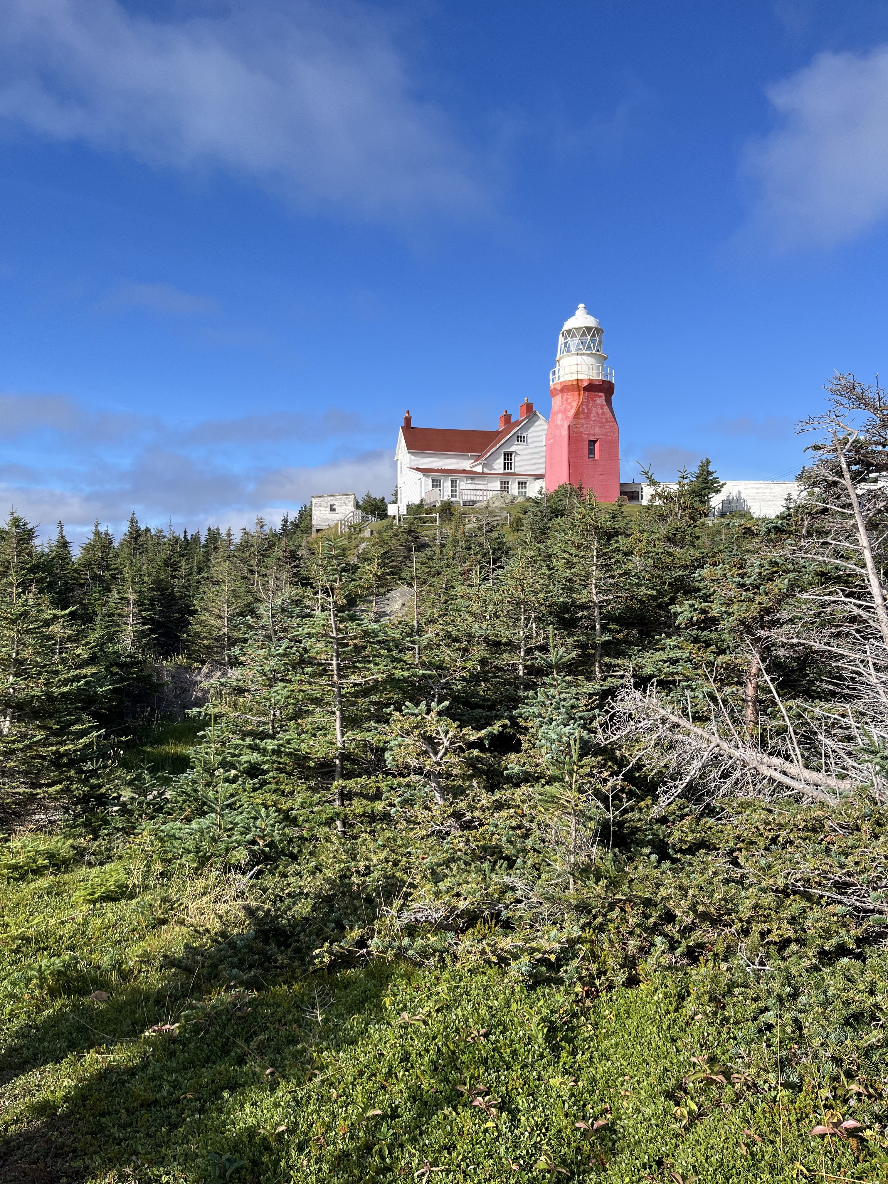 Travelling with a baby