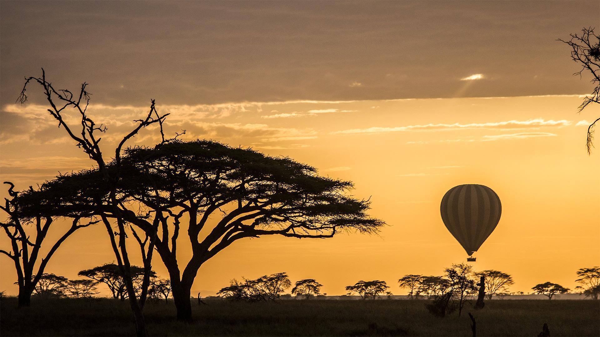 African Adventure Specialists Introduces 6-Day “Best of Kenya Safari”