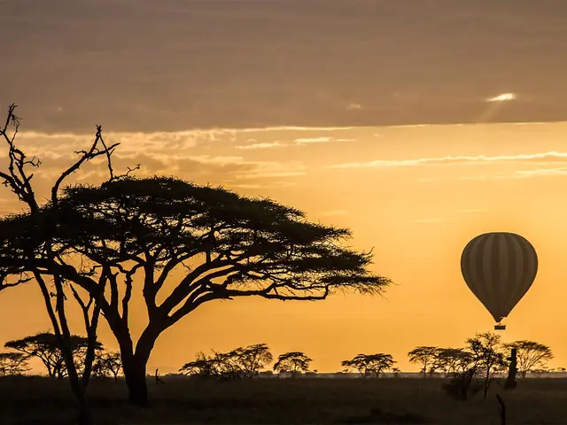 African Adventure Specialists Introduces 6-Day “Best of Kenya Safari”
