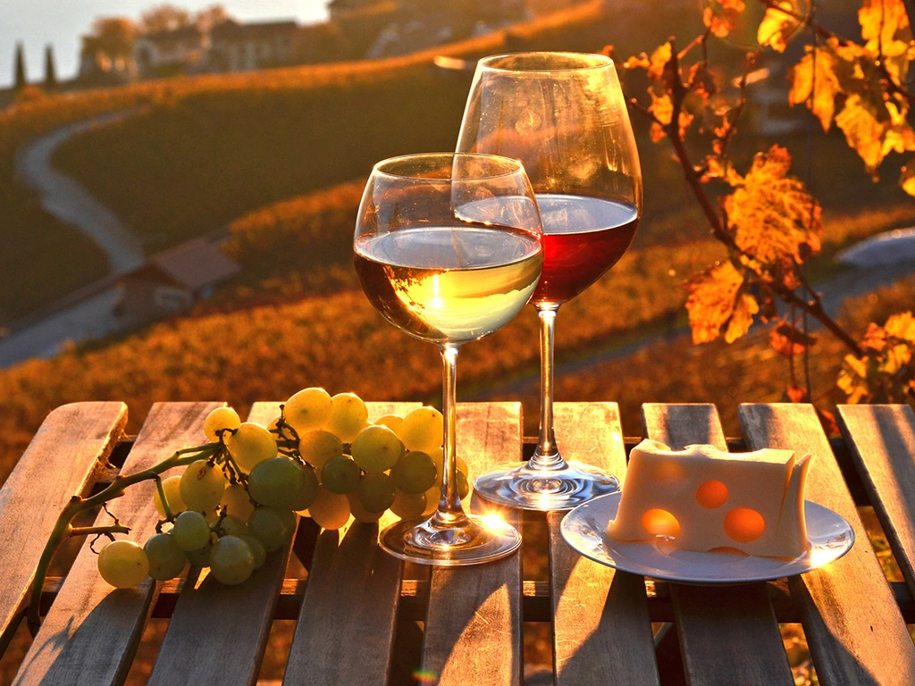 A Menu of Central Europe’s Essential Eats