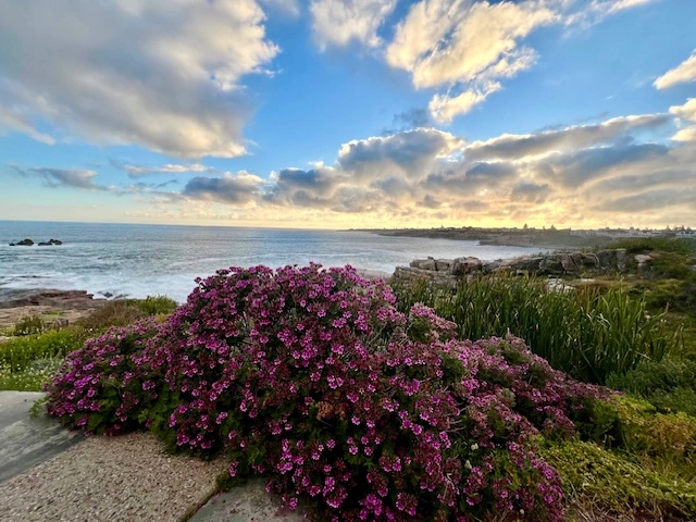 Sdravka (Zara) Damani