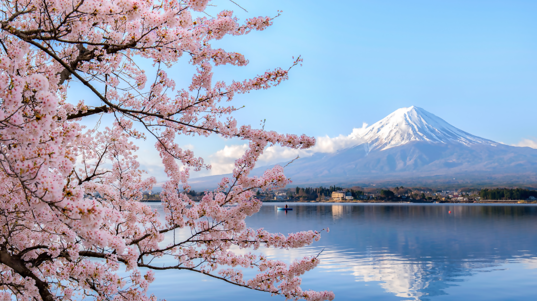 Discover Japan’s Wonders with Exotik Journeys