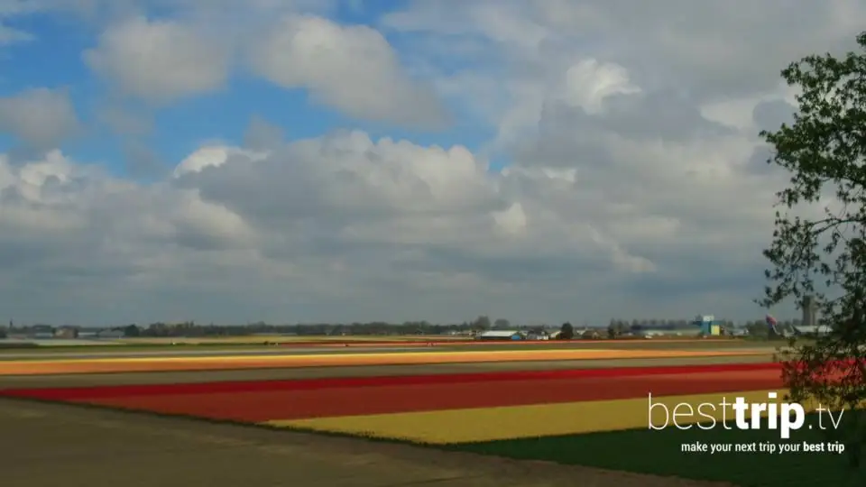 Video Cruise Review: Tulips and Much More on an Avalon Spring Netherlands River Cruise