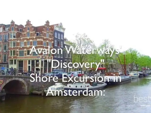 Channel Your Inner Van Gogh on this Avalon Discovery Shore Excursion in Amsterdam