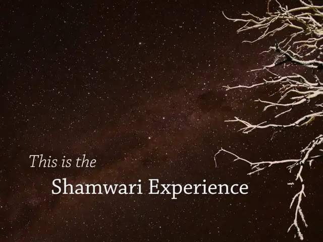 Video: The Shamwari experience
