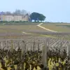 A Uniworld River Cruise in the Bordeaux Wine Region
