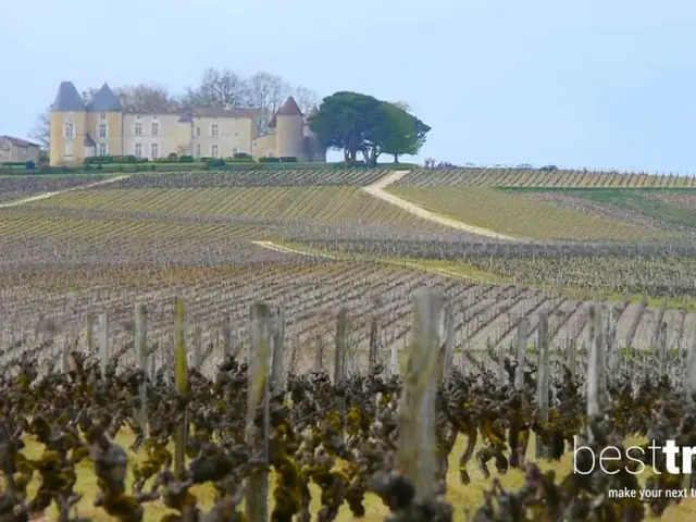 A Wine River Cruise in Bordeaux on Uniworld