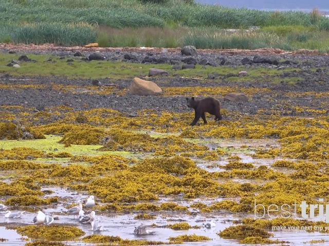 'Return with Regent' to Alaska in 2021 for $1000 Shipboard Spending and More