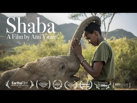 Celebrate World Elephant Day Watching this New Film About Rehabilitating Elephants to the Wild in Kenya