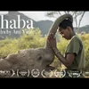 Celebrate World Elephant Day Watching this New Film About Rehabilitating Elephants to the Wild in Kenya
