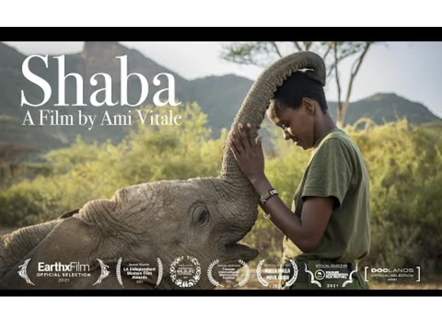 Celebrate World Elephant Day Watching this New Film About Rehabilitating Elephants to the Wild in Kenya
